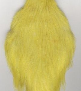 Chinese Neck